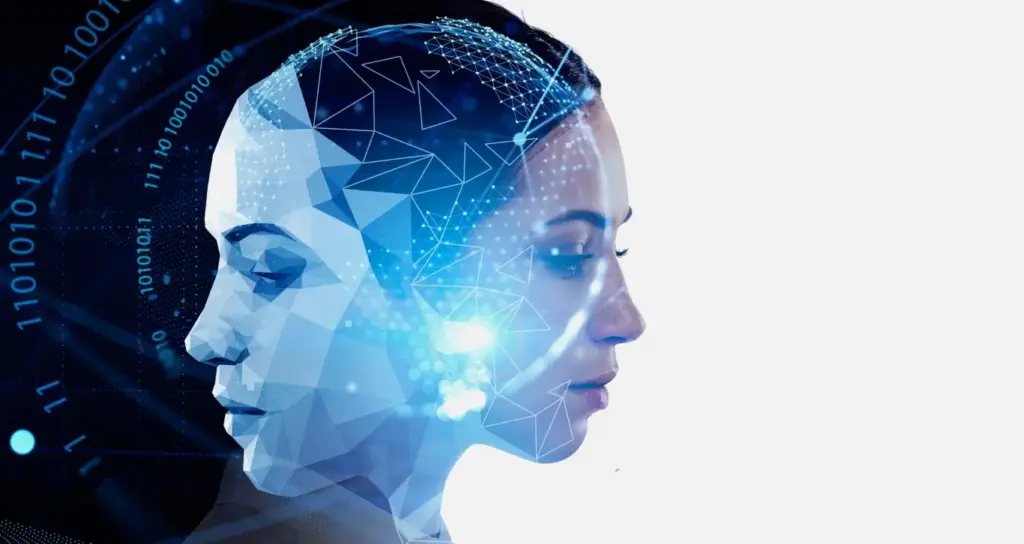 Human-Centered Design Principles