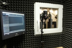 What are the Typical Features of a Malay Voice Over Service?